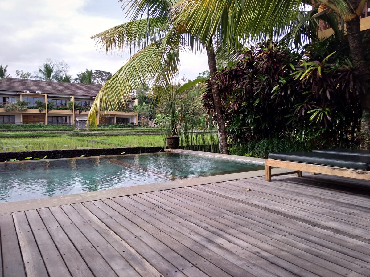 Couette-café Lestari Ubud